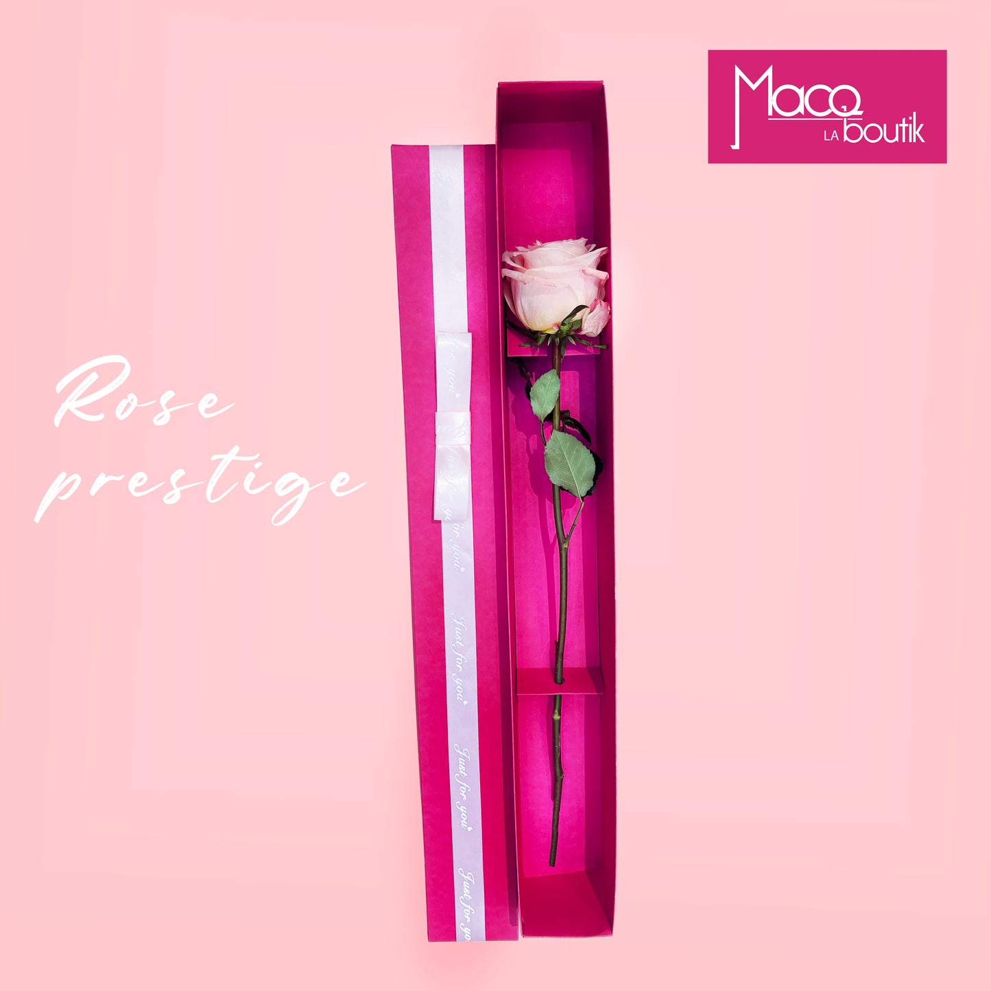 ROSE PRESTIGE EN BOITE