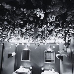 fleurissement toilette plafond