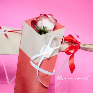 Rose en cornet